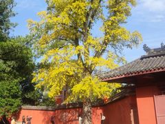 -金堂县云顶石城风景区