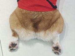 -怪兽屋·羊驼·猫咖·狗咖(俊华广场店)