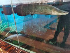 -新世纪大酒楼·30年南海菜