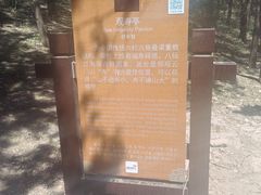 -青州市云门山风景区