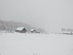 -喀纳斯禾木山庄