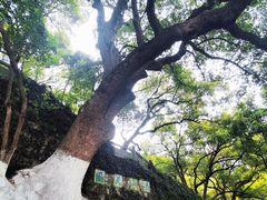 -城隍阁