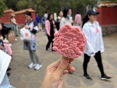 -普陀宗乘之庙(小布达拉宫)