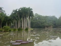 -中国科学院西双版纳热带植物园