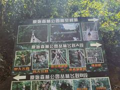 -西双版纳原始森林公园
