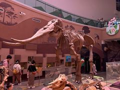 -陕西自然博物馆