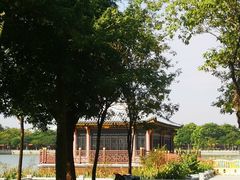 -顺峰山公园