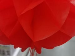 -麦德龙(嘉定店)