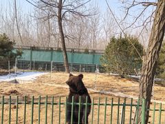 -秦皇岛野生动物园