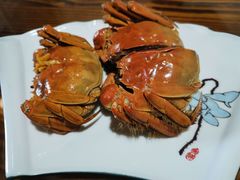 -呼吸森林·生态农庄农家乐私房菜