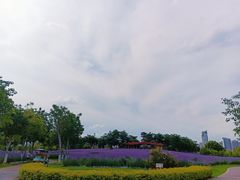 -厦门园林博览苑