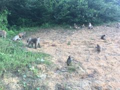-广州市流溪河国家森林公园
