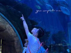 -华夏文旅海洋公园