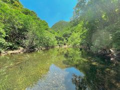 -武汉姚家山旅游景区