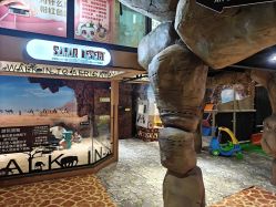 -卡通尼·Safari非洲探索乐园·生日会(金桥国际商业广场店)