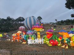 -大塘金香草谷