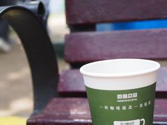 -陆家嘴中心绿地