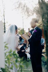点击看大图 -Chic Bridal 熙可婚纱