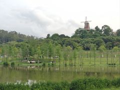 -东莞植物园