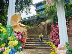 -白马涧龙池景区