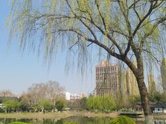 -堤角公园
