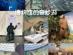 -陕西自然博物馆