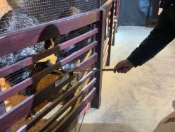 -酷嗒动物文化乐园(cutezoo西溪乐天城店)