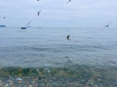 -银沙滩浴场
