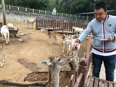 -西安秦岭野生动物园