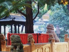 -秋霞圃