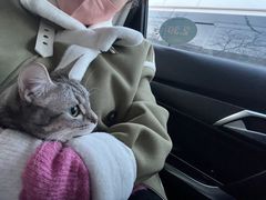 -萌兽医馆·犬猫专科·眼科中心·宠物医院(朝阳门分院)