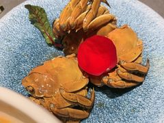 -姑苏家宴·苏帮菜·松鼠桂鱼(苏州总店)