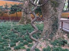 -普陀山风景名胜区-法雨禅寺