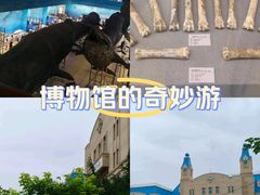 -大连自然博物馆
