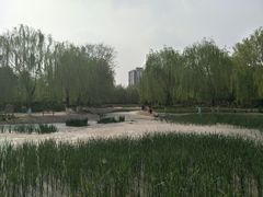 -丰台科技园生态主题公园