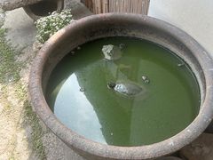 -孝店王酒酿馒头(安昌1店)