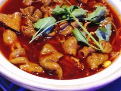 香辣肥肠煲-龙巢盱眙龙虾·鸡煲·烧烤宵夜(坪洲店)