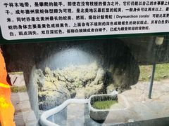 -合肥野生动物园