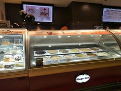 -哈根达斯(陆家浜路店)