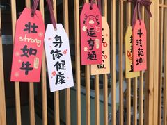 -Catmate·猫肥家润(金润铂宫店)