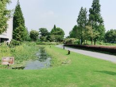 -田园东方蜜桃村的田野营地