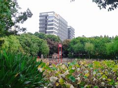 -陈家山荷花公园