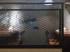 -龙梅肥肠鱼(明瓦廊店)