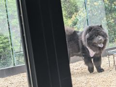 -J Create城市露营咖啡·简餐·宠物(上海动物园店)