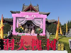-大槐树寻根祭祖园