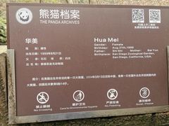 -都江堰中华大熊猫苑