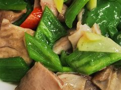 青椒肚片-协和菜馆(凤凰街店)