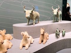 -广西壮族自治区博物馆