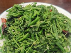 清炒洋瓜尖-四海烤鸭城