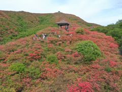 -大围山国家森林公园
